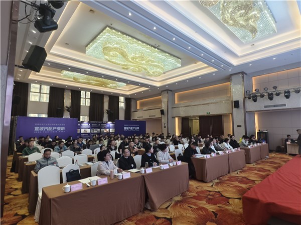 宣城汽配產(chǎn)業(yè)帶揚(yáng)帆出海，跨境電商專(zhuān)場(chǎng)對(duì)接賦能企業(yè)建站新篇