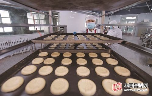 昌吉高新區(qū)葡萄樹食品 亞麻籽馕的傳統(tǒng)工藝與現(xiàn)代生產(chǎn)